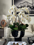 White Orchids in Kempff Bowl