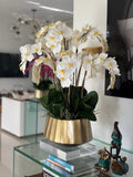 Helena Boat Planter with White Phaleanopsis Orchids