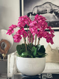 Pink Fucsia Orchids In Glossy White Fiberglass Bowl
